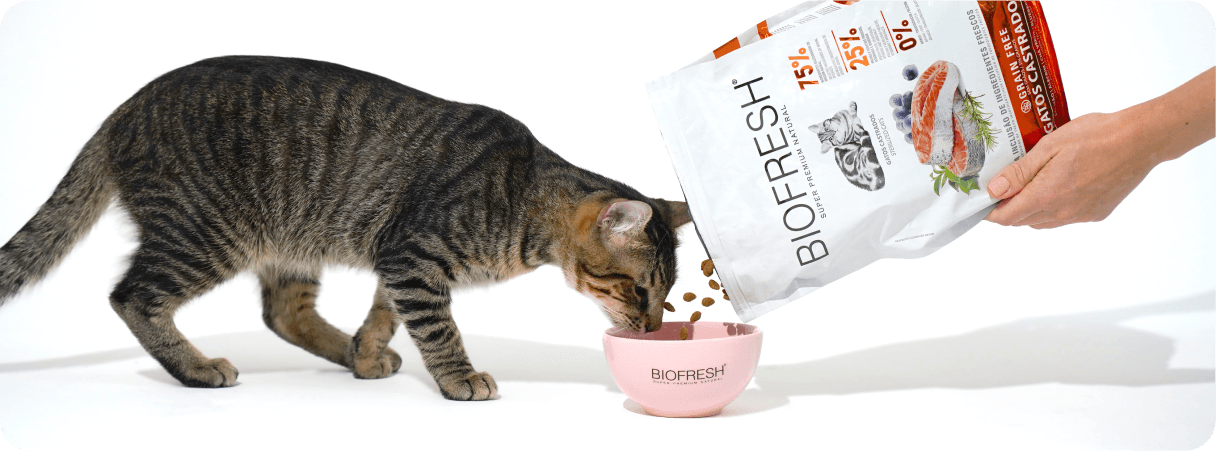 Biofresh - Produtos para Gatos
